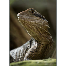 Load image into Gallery viewer, Mountains to the Sea 2026: Australia - Photo Tour