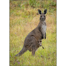 Load image into Gallery viewer, Mountains to the Sea 2026: Australia - Photo Tour