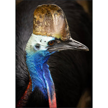 Load image into Gallery viewer, Mountains to the Sea 2026: Australia - Photo Tour