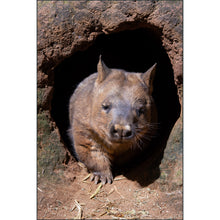 Load image into Gallery viewer, Mountains to the Sea 2026: Australia - Photo Tour