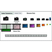 Load image into Gallery viewer, Camera Buyer's Guide: 2024