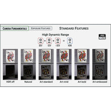 Load image into Gallery viewer, Camera Buyer's Guide: 2025