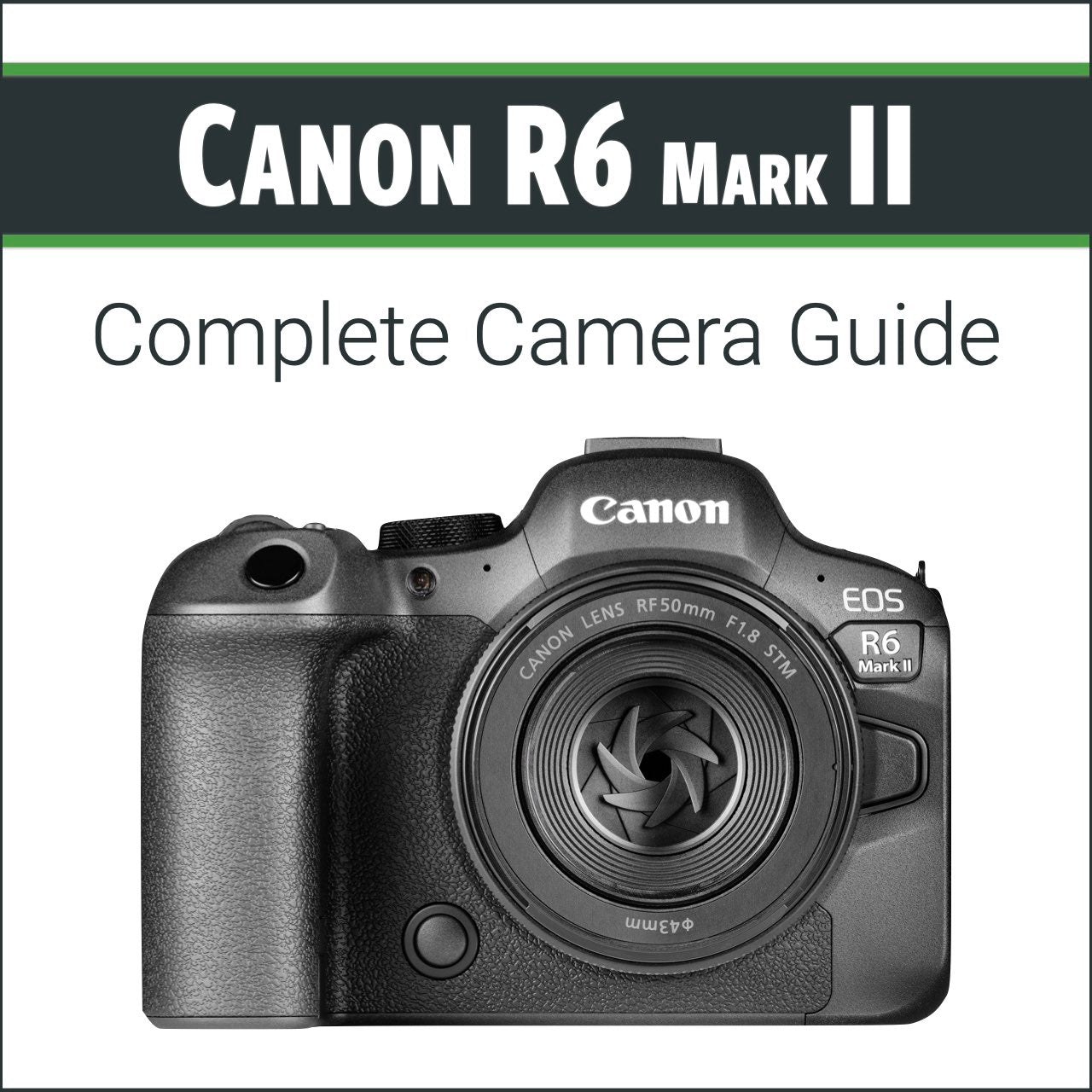 Canon R6 Mark II Review: A Mostly Excellent Camera 