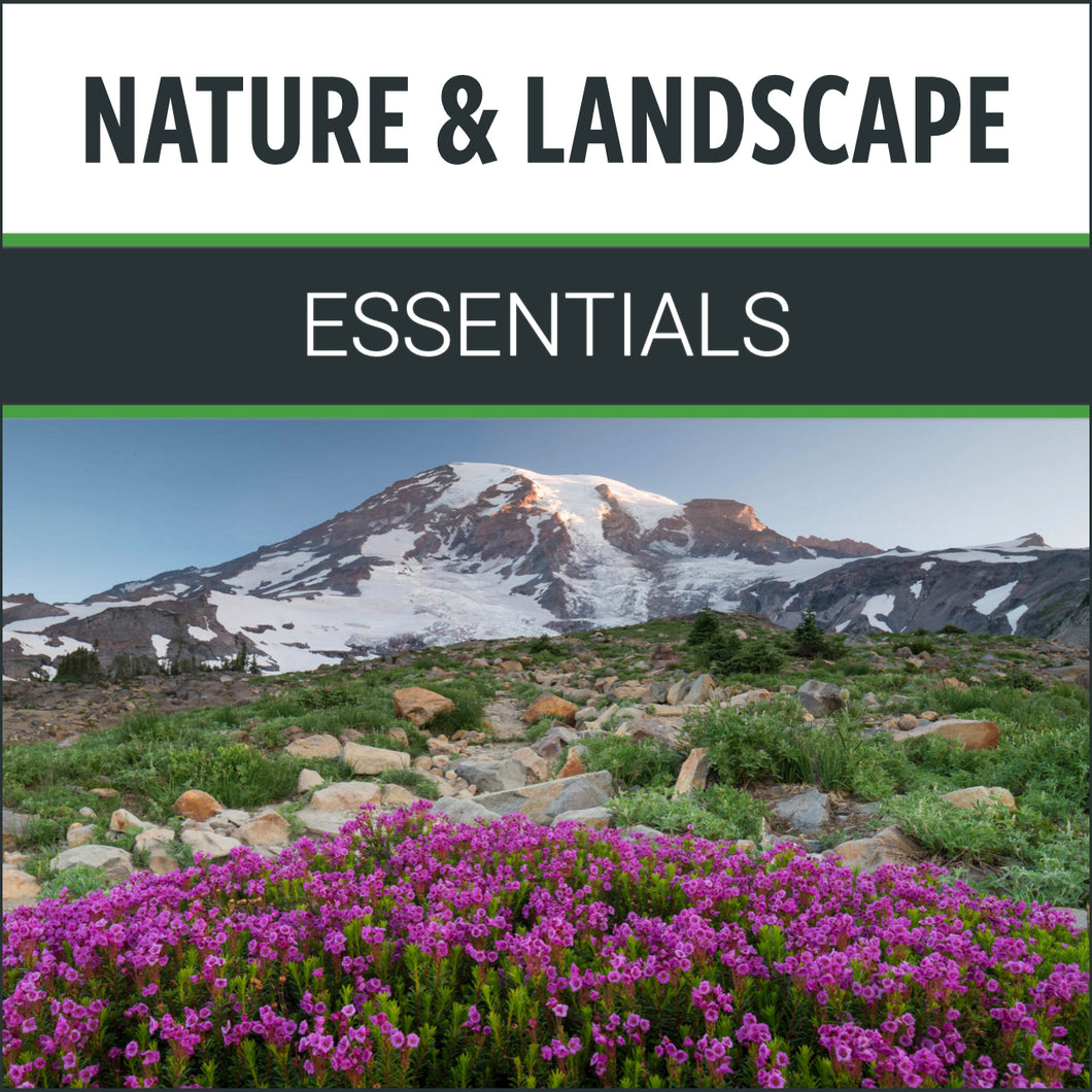 Nature & Landscape Essentials