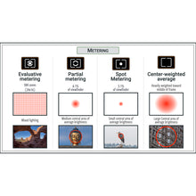 Load image into Gallery viewer, Canon R5: Complete Camera Guide