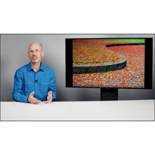 Load image into Gallery viewer, ESSENTIALS Bundle: Photography + Composition