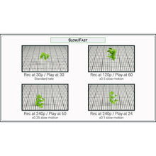 Load image into Gallery viewer, OM System OM1: Complete Camera Guide