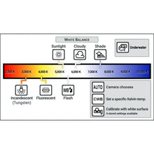 Load image into Gallery viewer, Olympus E-M1 III: Complete Camera Guide