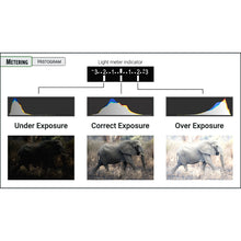 Load image into Gallery viewer, Photography Essentials