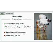Load image into Gallery viewer, Photography Essentials