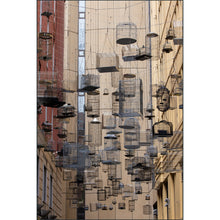 Load image into Gallery viewer, Mountains to the Sea 2026: Australia - Photo Tour
