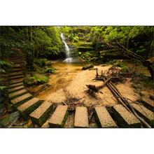 Load image into Gallery viewer, Mountains to the Sea 2026: Australia - Photo Tour
