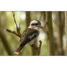 Load image into Gallery viewer, Mountains to the Sea 2026: Australia - Photo Tour
