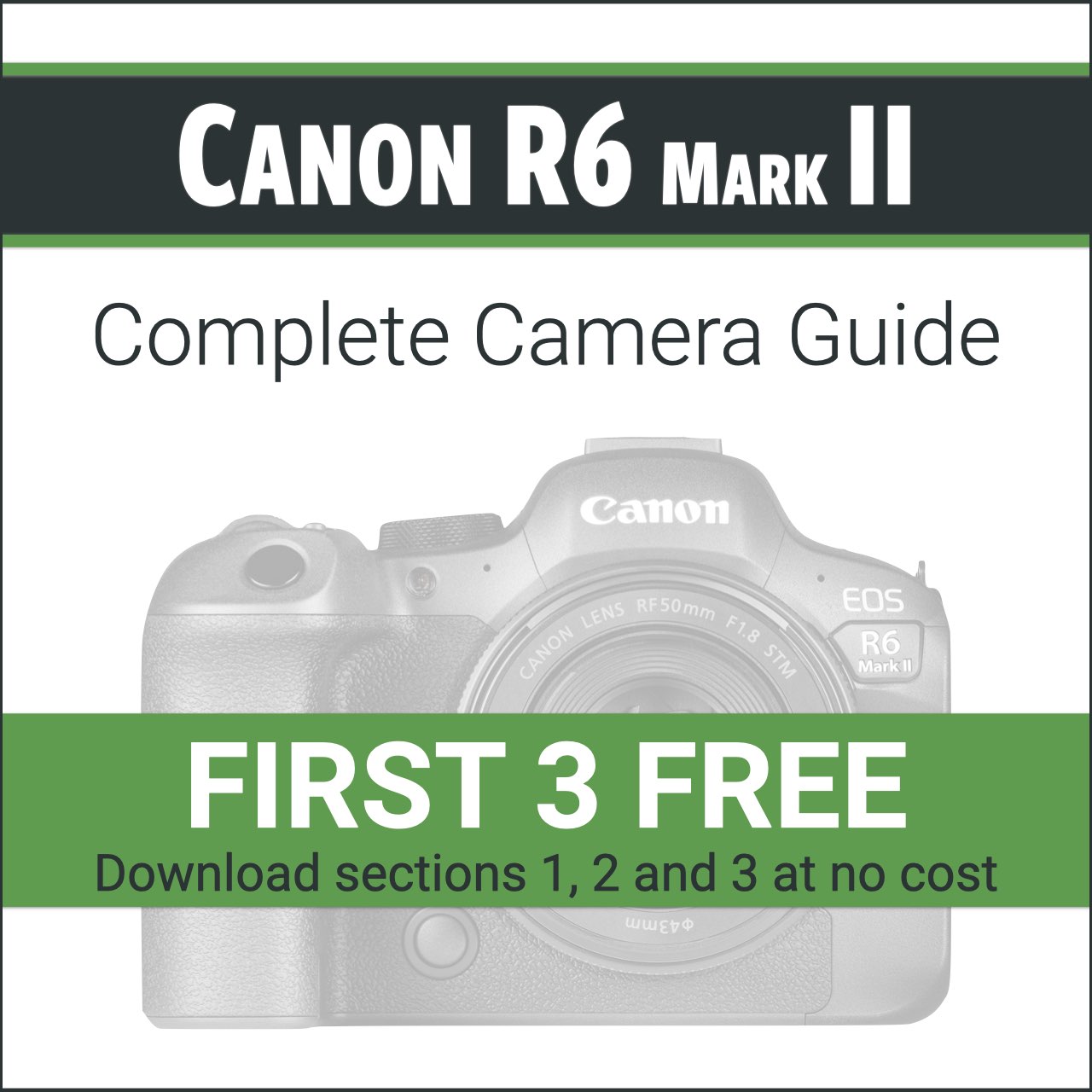Used Canon EOS R6 Mark II
