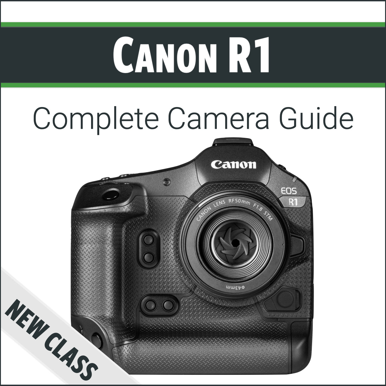 Canon R1: Complete Camera Guide – John Greengo Photography