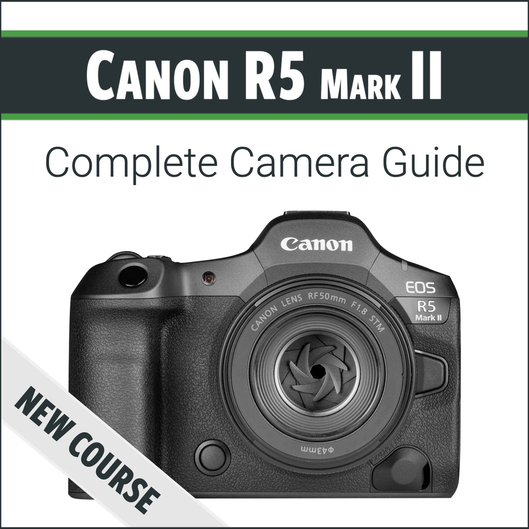Canon R5 Mark II: Complete Camera Guide