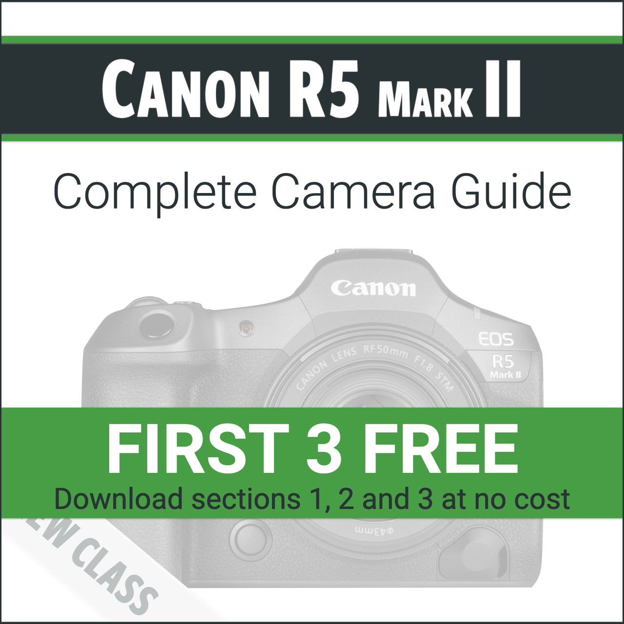 Canon R5 Mark II: Complete Camera Guide – John Greengo Photography