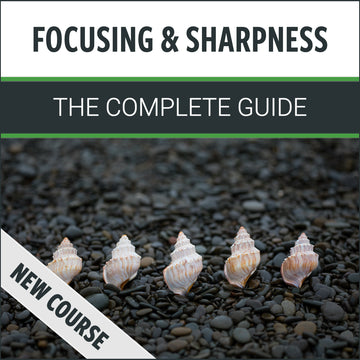Focusing & Sharpness: The Complete Guide