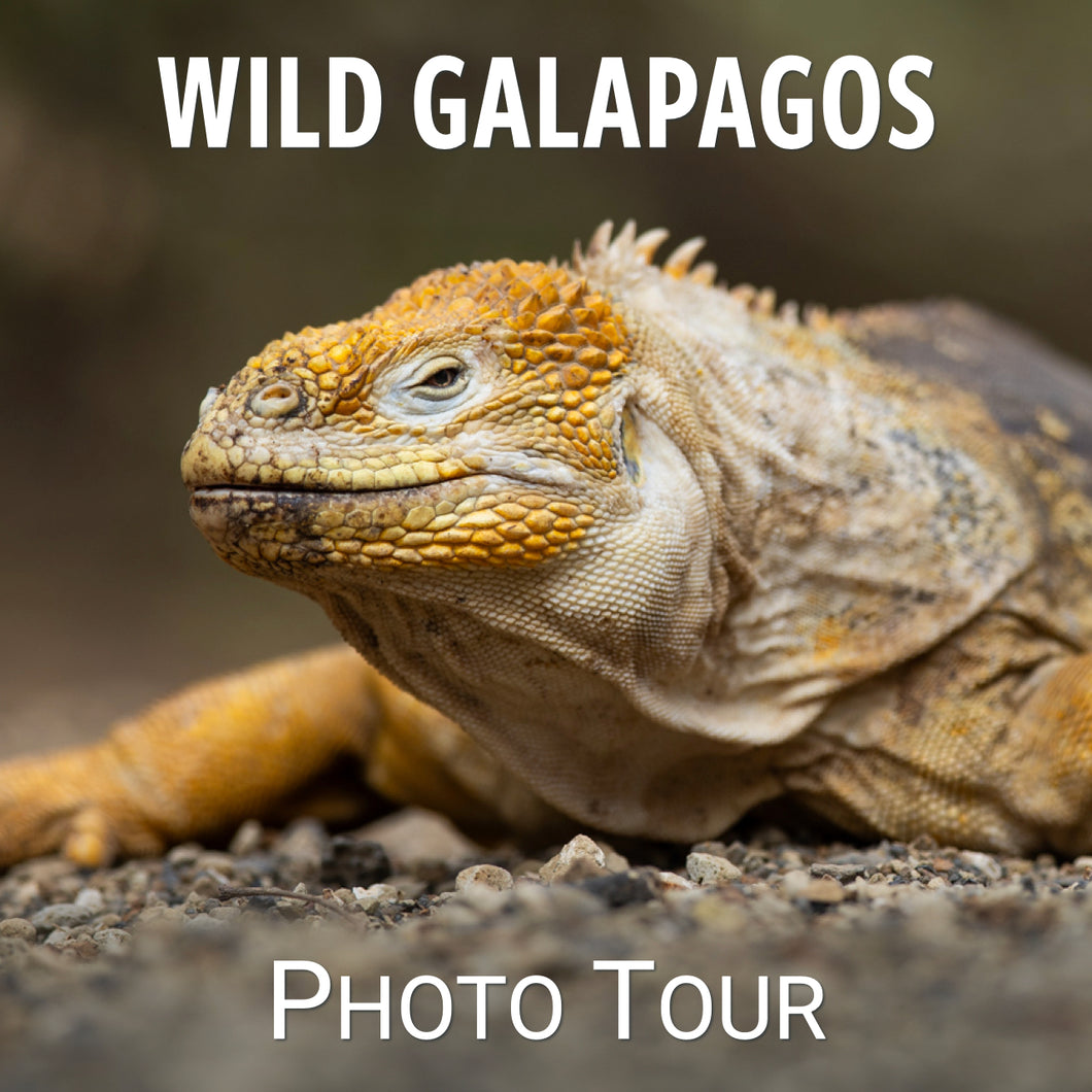 Wild Galapagos 2024: Reserve Spot with Deposit