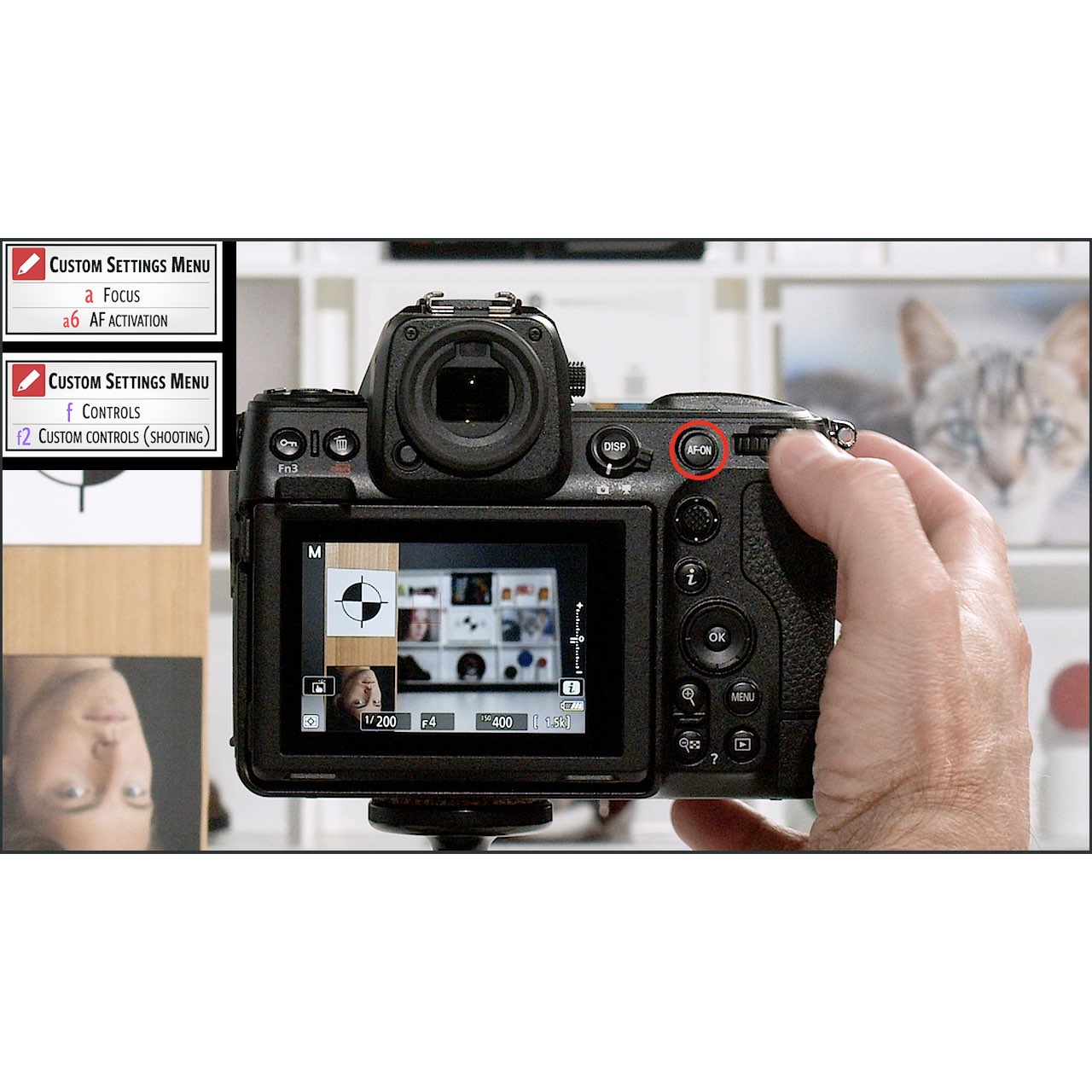 Z8 Reference Guide Nikon Z8: Complete Camera Guide – John Greengo Photography