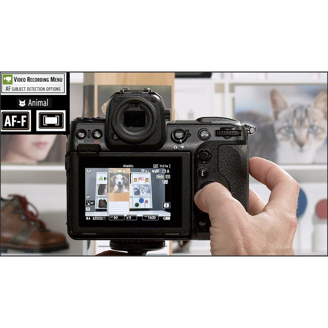 Nikon Z8: Complete Camera Guide – John Greengo Photography