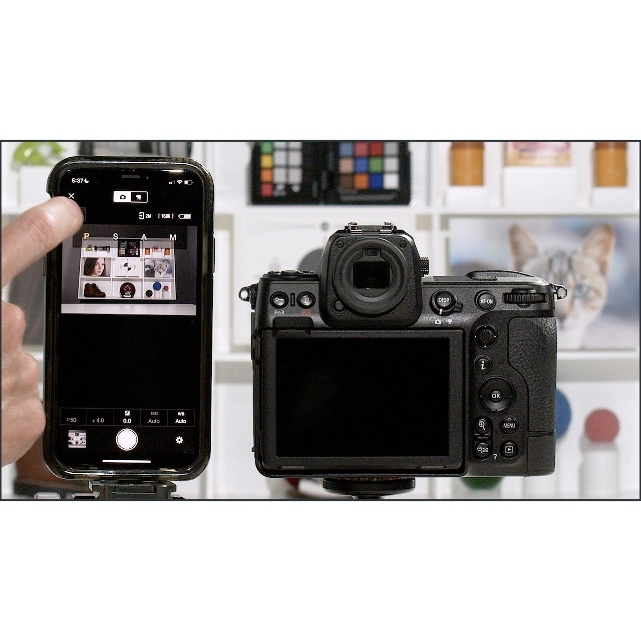 Nikon Z8: Complete Camera Guide – John Greengo Photography