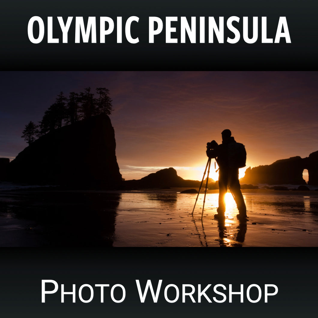 Olympic Peninsula Workshop 2024