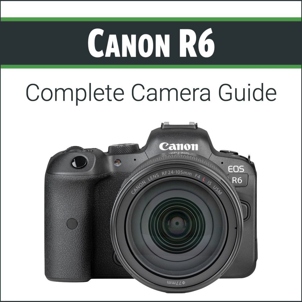 Canon R6: Complete Camera Guide
