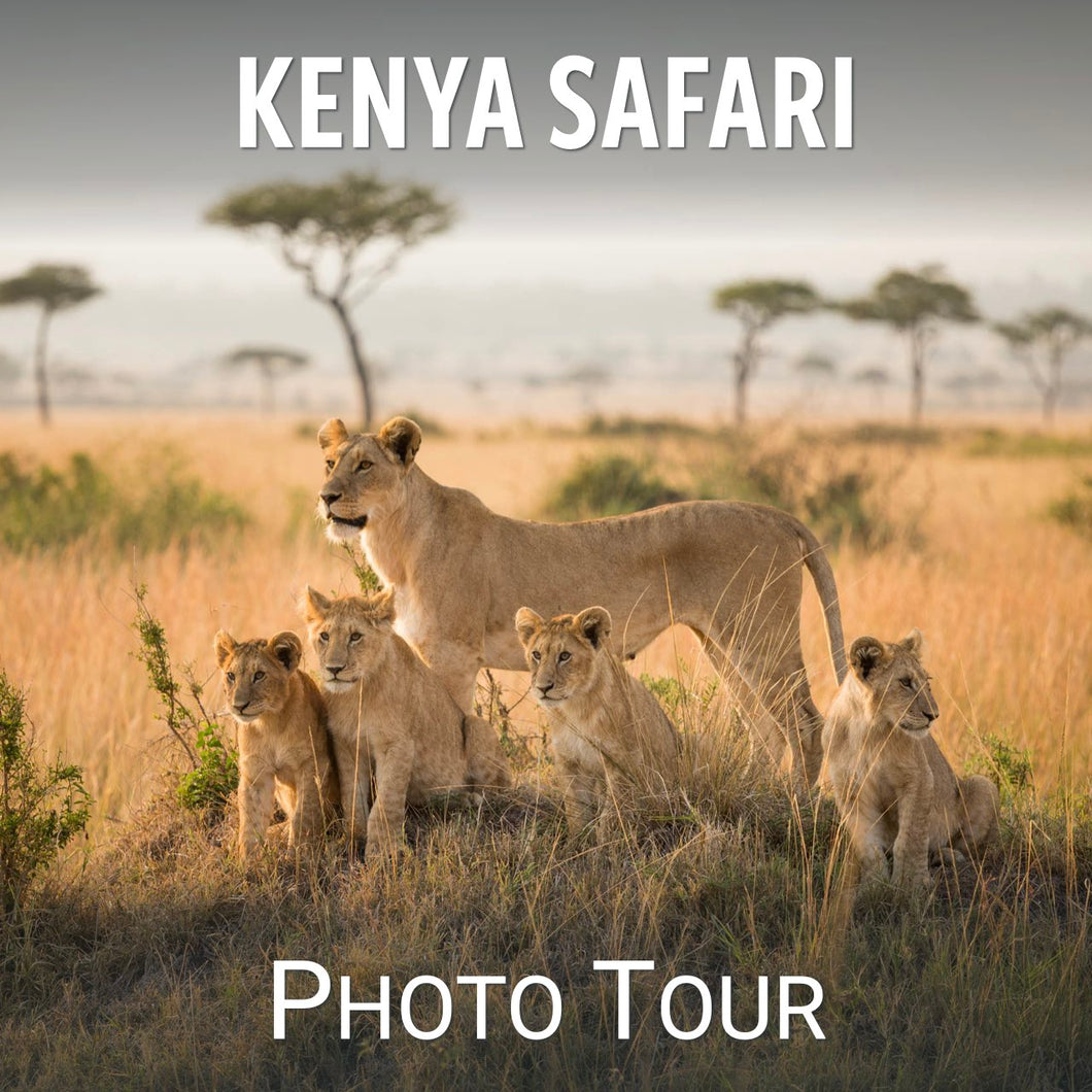 Kenya Safari 2024: Reserve Spot with Deposit