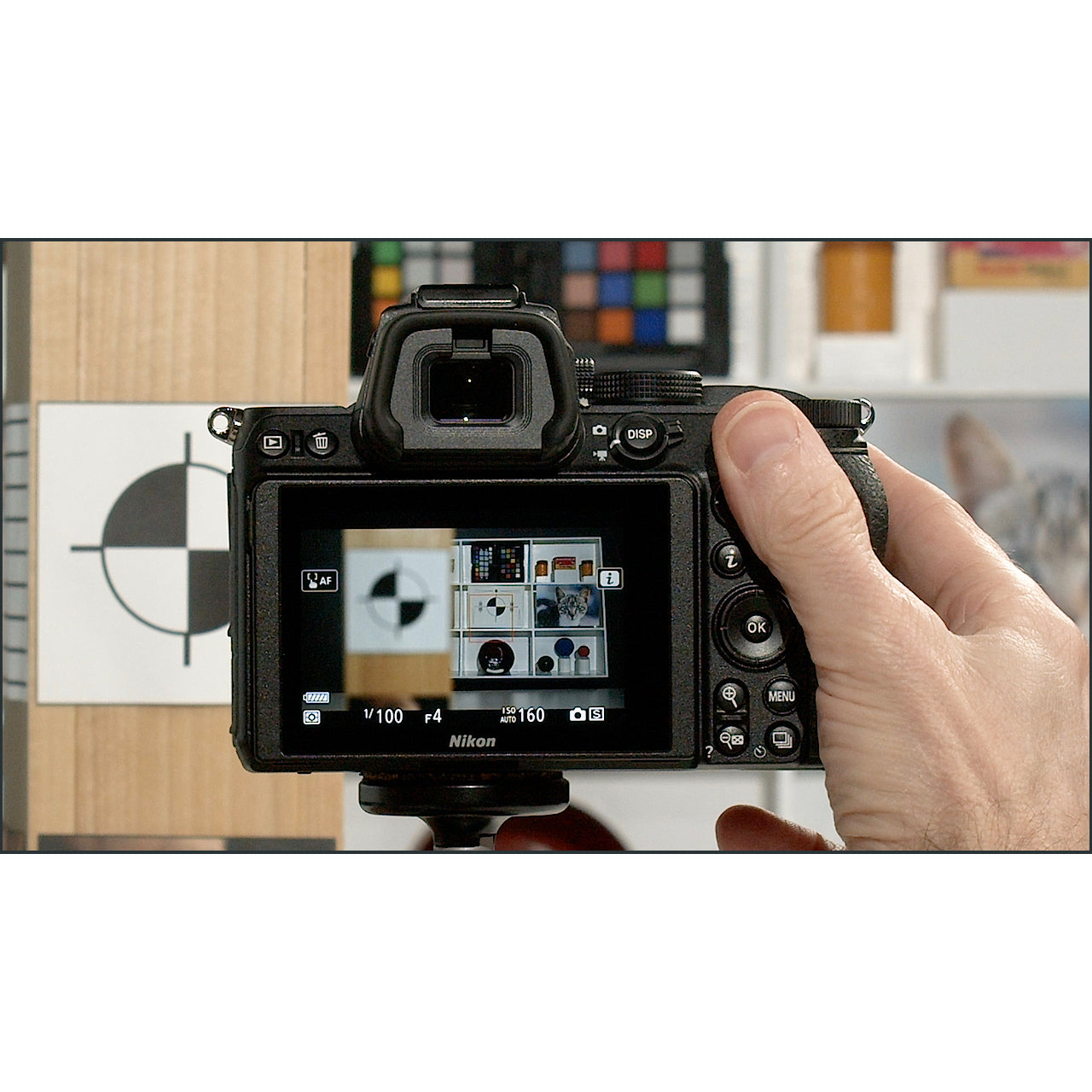 Nikon Zfc: Complete Camera Guide – John Greengo Photography