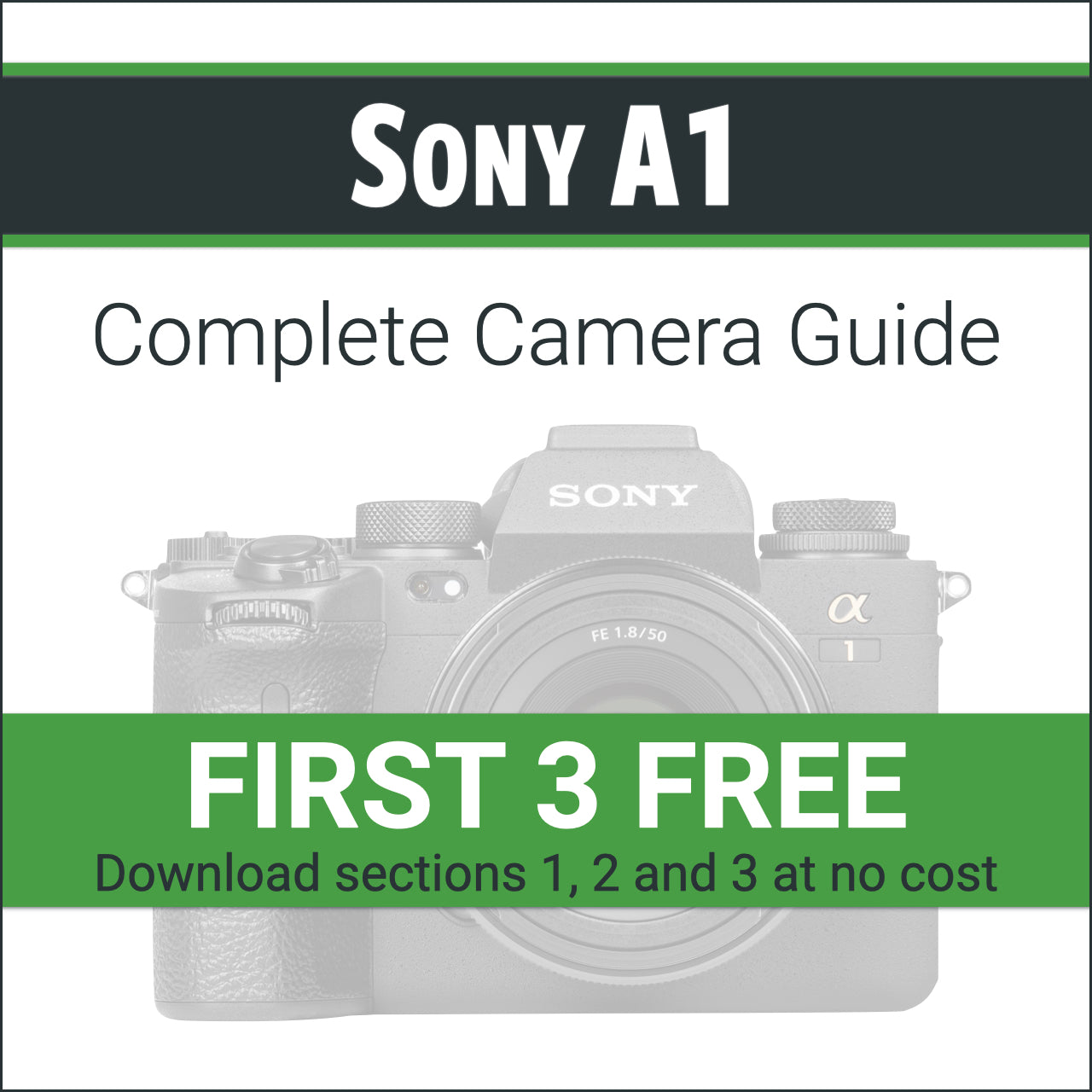 Sony Camera Guide User Sony A1: Complete Camera Guide – John Greengo Photography