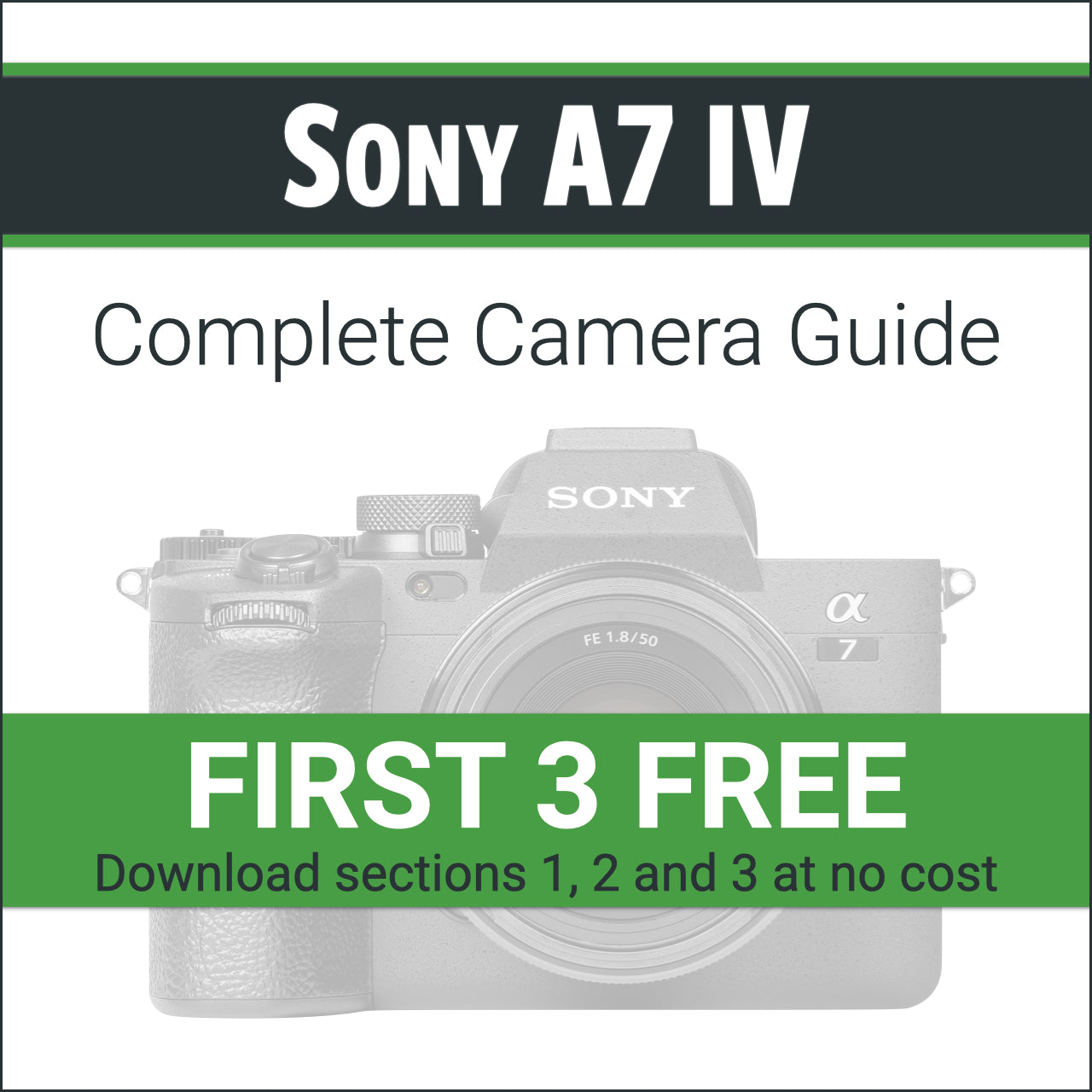 Sony A7 III Vs. A7 IV (Photographer's Guide)